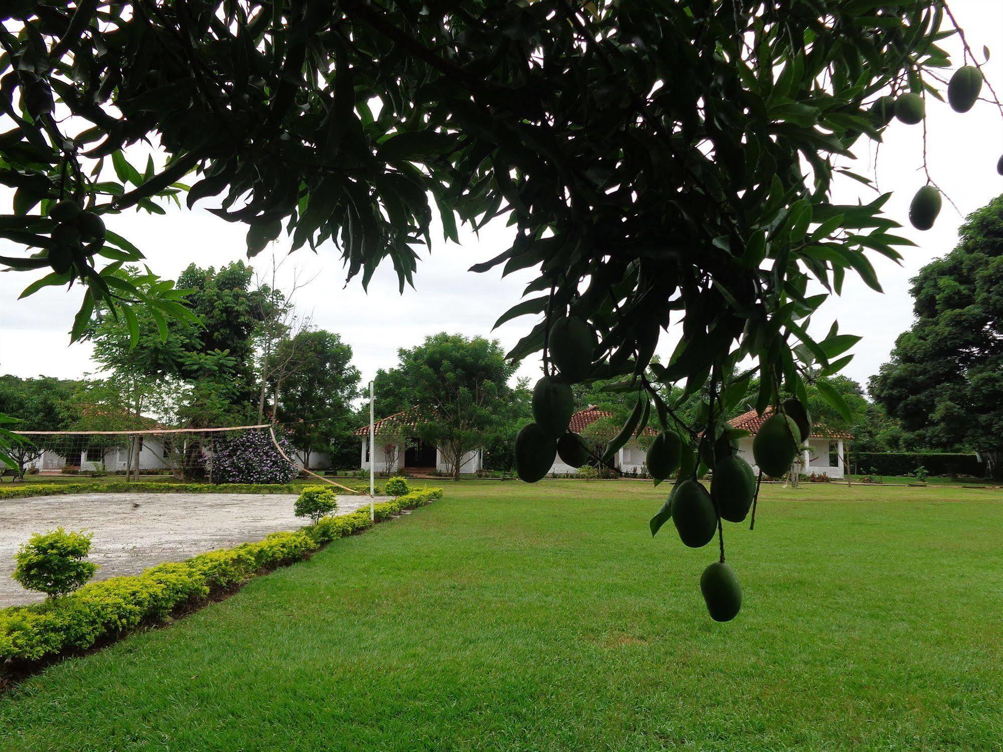 Hotel Campestre Arboretto 비야비센시오 외부 사진