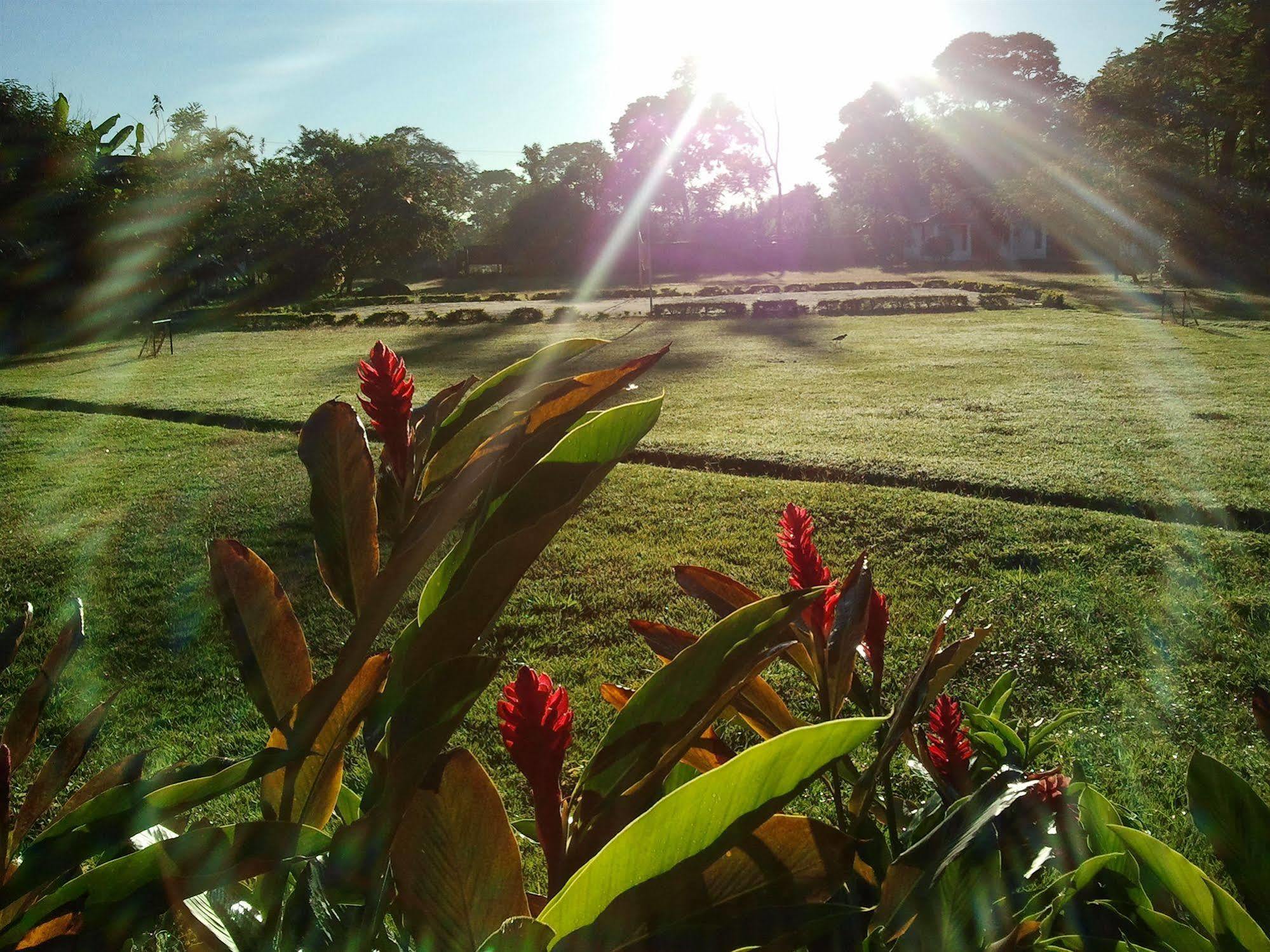 Hotel Campestre Arboretto 비야비센시오 외부 사진