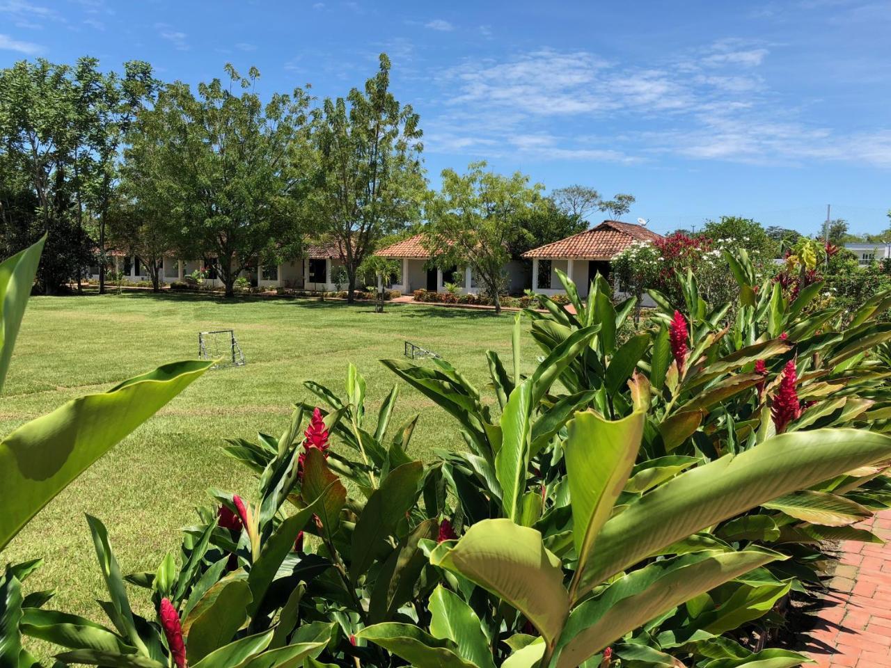 Hotel Campestre Arboretto 비야비센시오 외부 사진
